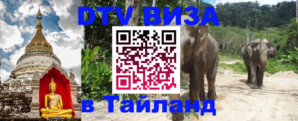 DTV (ДТВ) visa Таиланд Ногинск 
